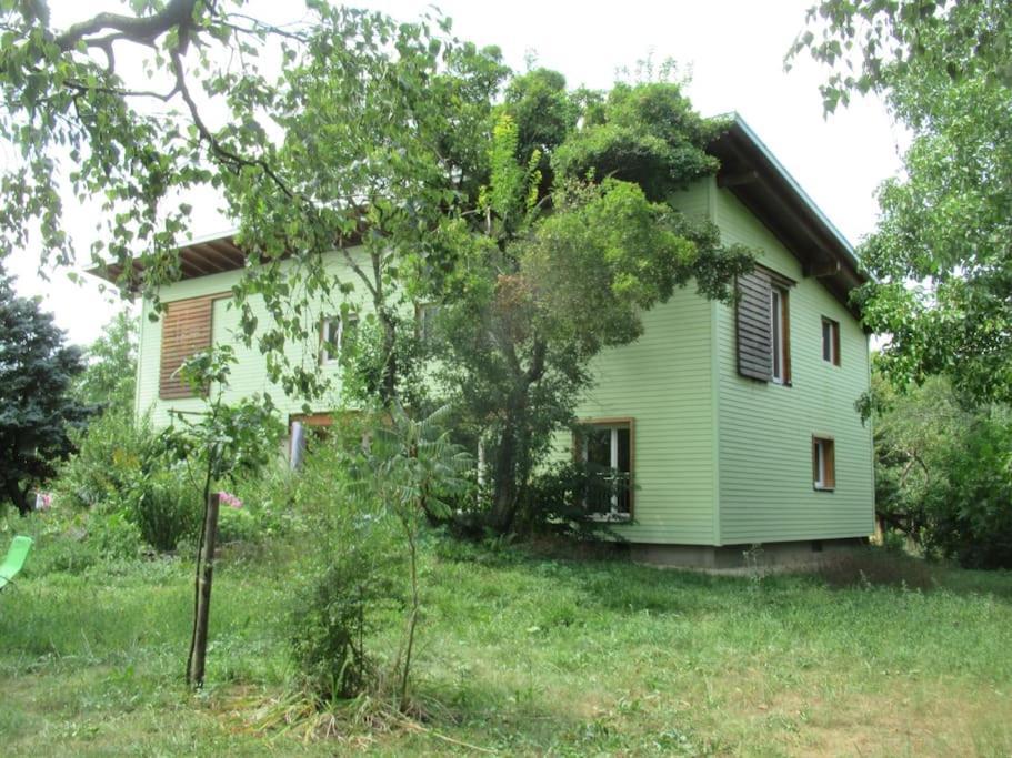 Ferienwohnung Im Gruenen Gottenheim Exteriér fotografie