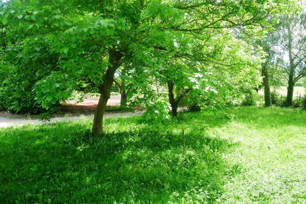Ferienwohnung Im Gruenen Gottenheim Exteriér fotografie