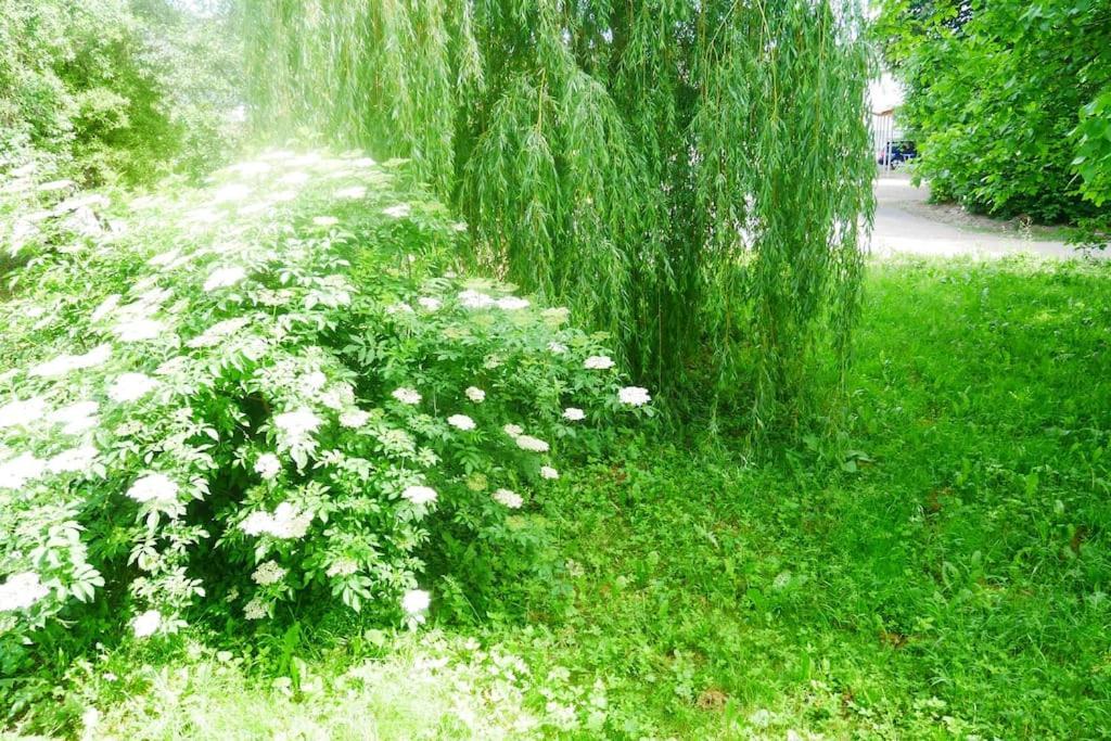 Ferienwohnung Im Gruenen Gottenheim Exteriér fotografie