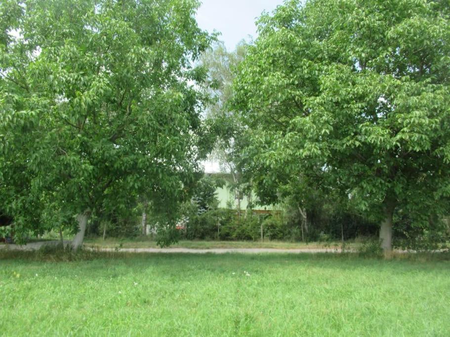 Ferienwohnung Im Gruenen Gottenheim Exteriér fotografie